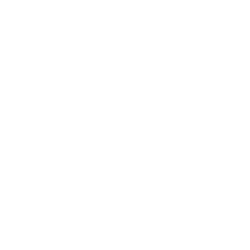 focus with mindset journal